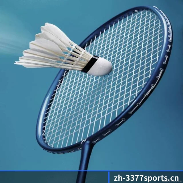 3377体育 APP